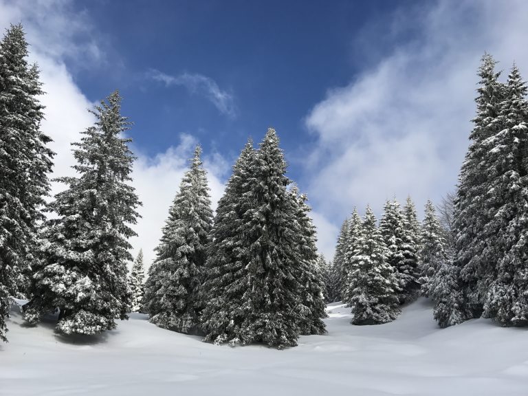 Solstizio d'inverno: quando cade e cosa sapere