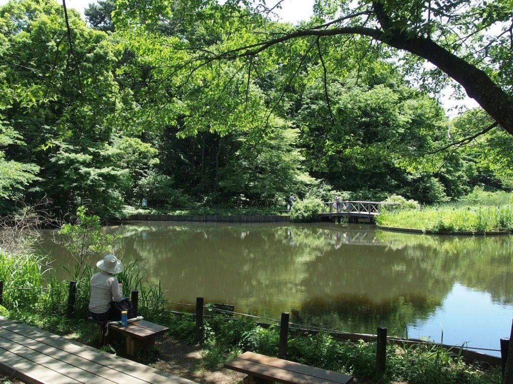 i parchi più belli di Tokyo