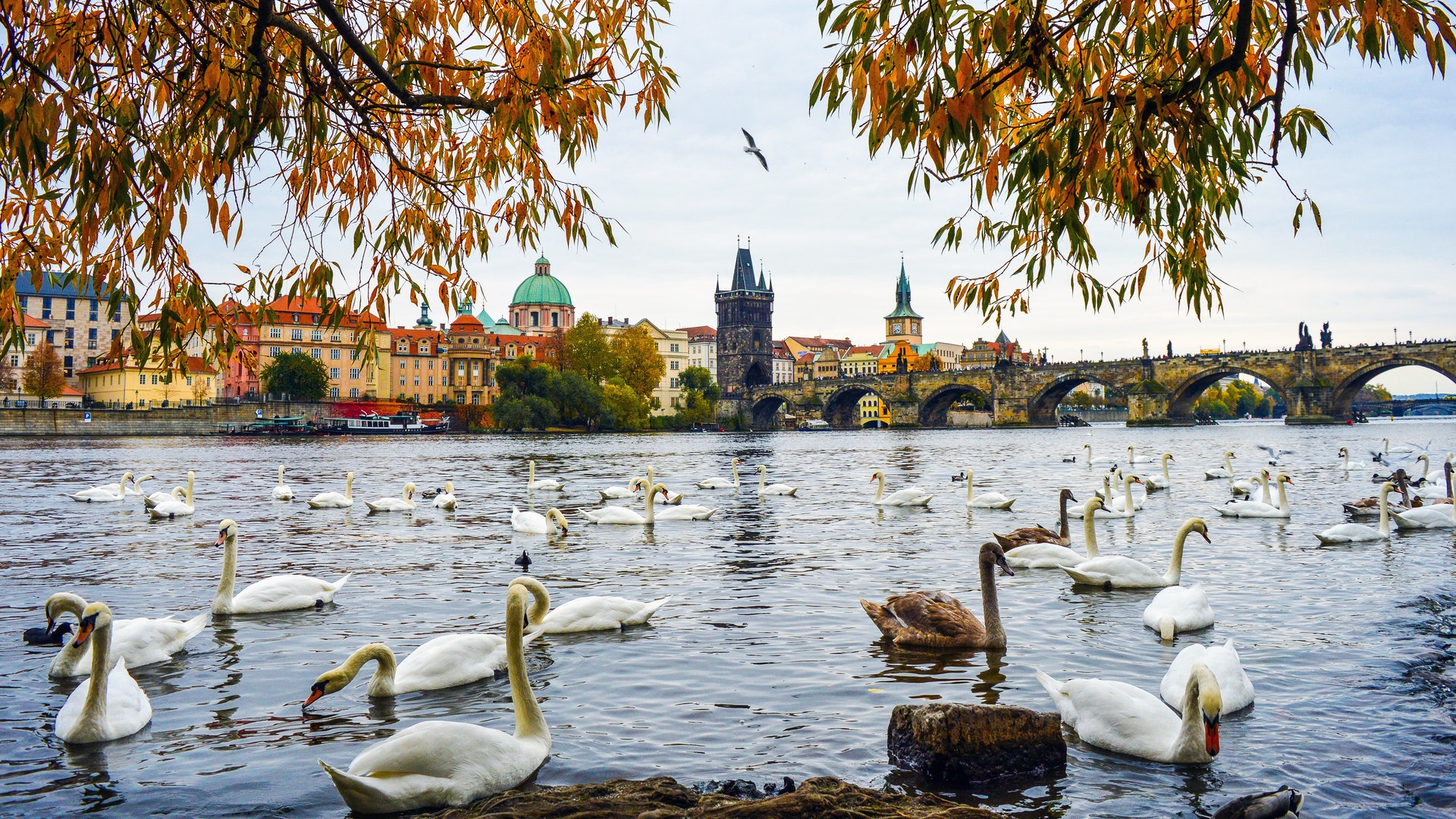 parchi più belli di Praga