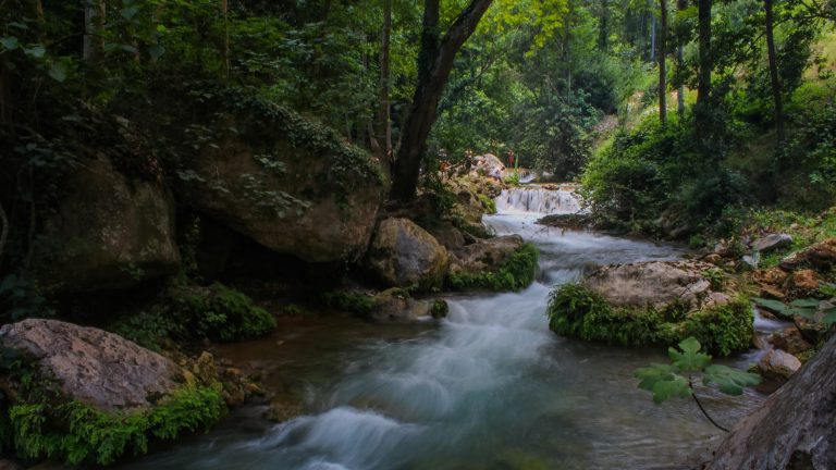 piscine naturali di Austin
