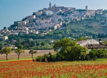 cose più belle da vedere a Montefalco