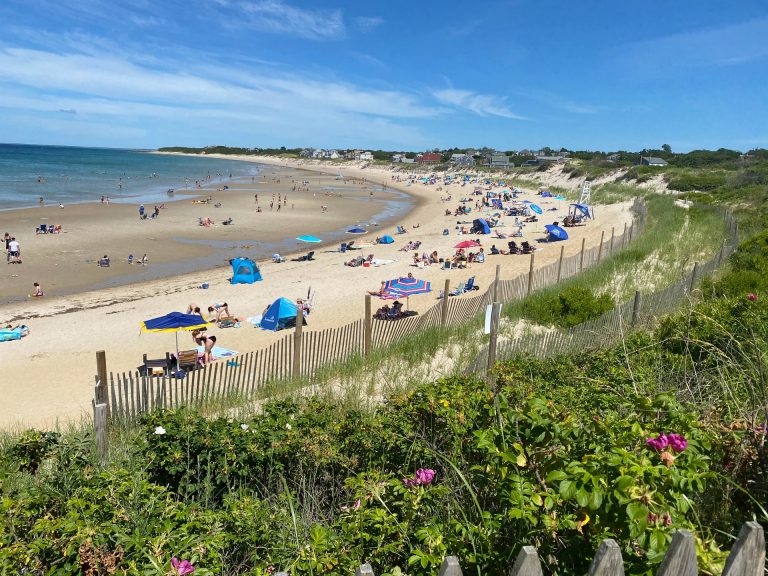 migliori spiagge di Cape Cod