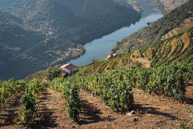 Valle del Douro