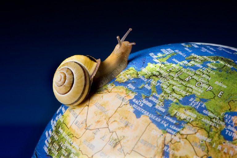 Slow travel