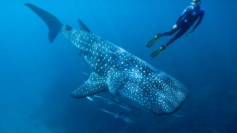 le attrazioni turistiche più pericolose del mondo