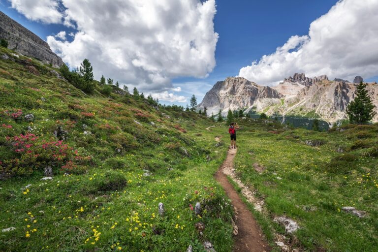 pexels krivec ales 554609