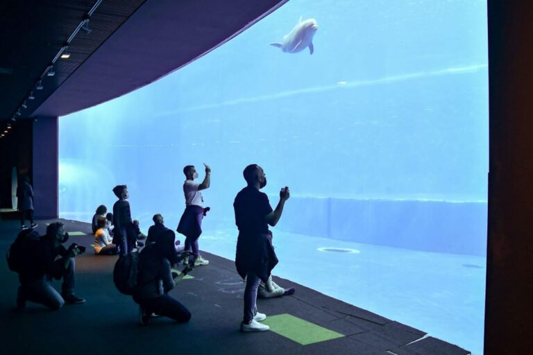 cosa vedere a genova con i bambini