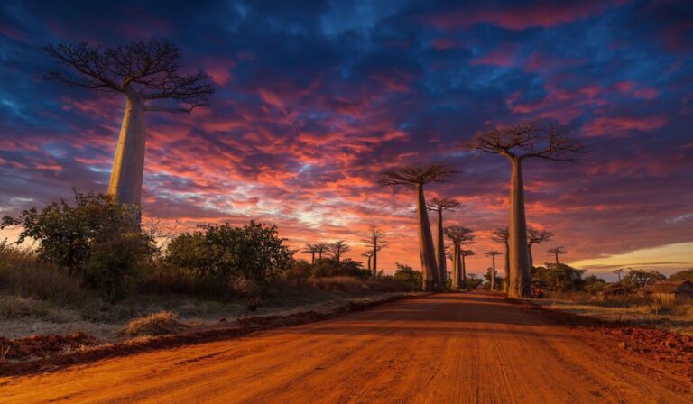 viaggio madagascar quando andare 1