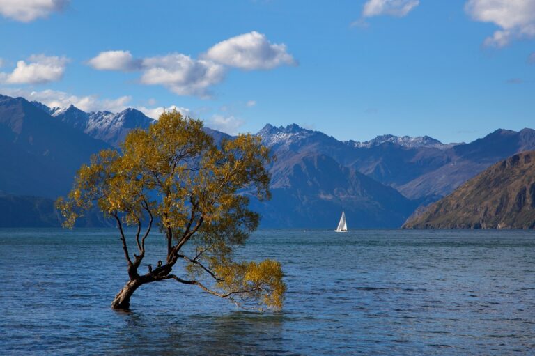 Nuova Zelanda, isola del Sud: cosa vedere