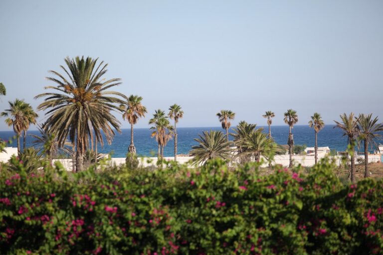Le 6 spiagge più belle della Tunisia
