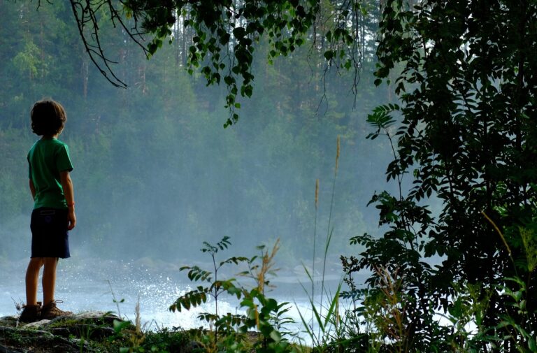 I 6 migliori parchi naturali della Svezia