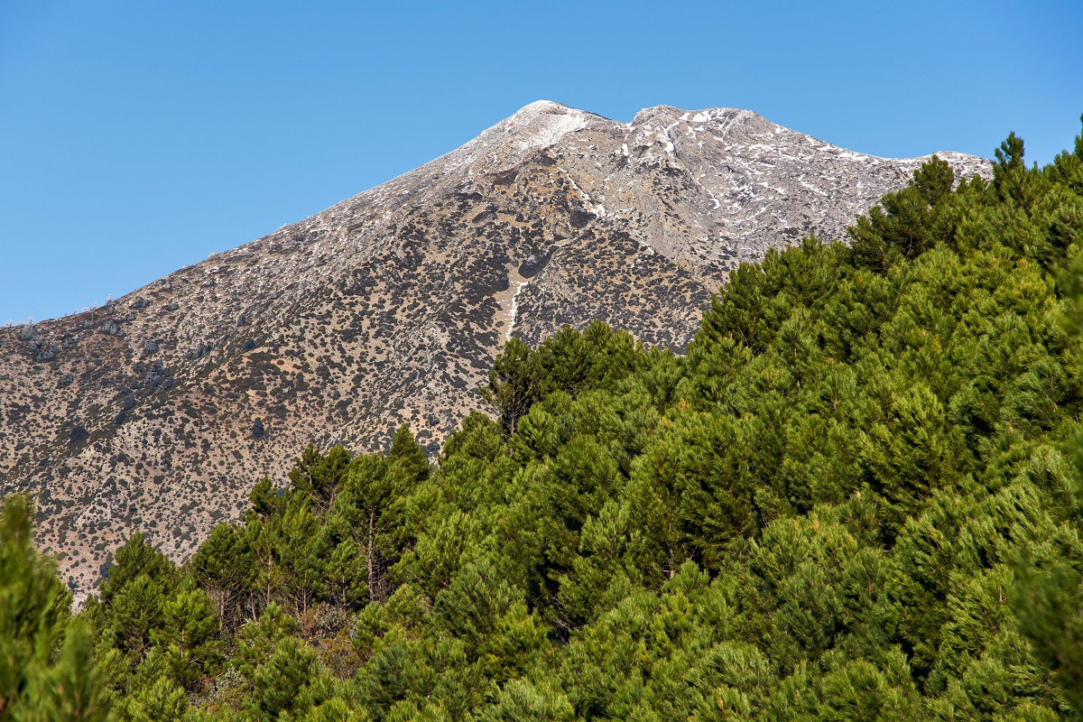 I 7 parchi naturali da non perdere in Andalusia