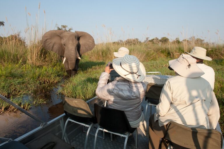 I luoghi migliori per i safari in Africa