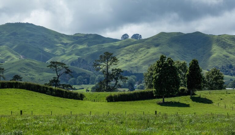 Nuova Zelanda, isola del Nord: cosa vedere