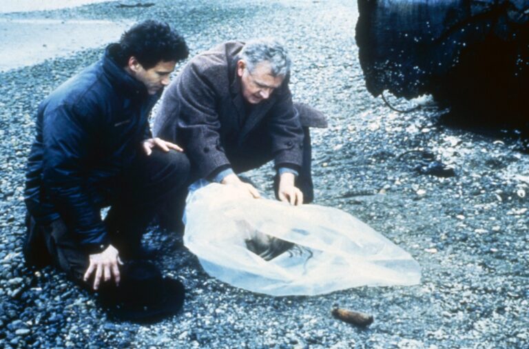Le location di Twin Peaks