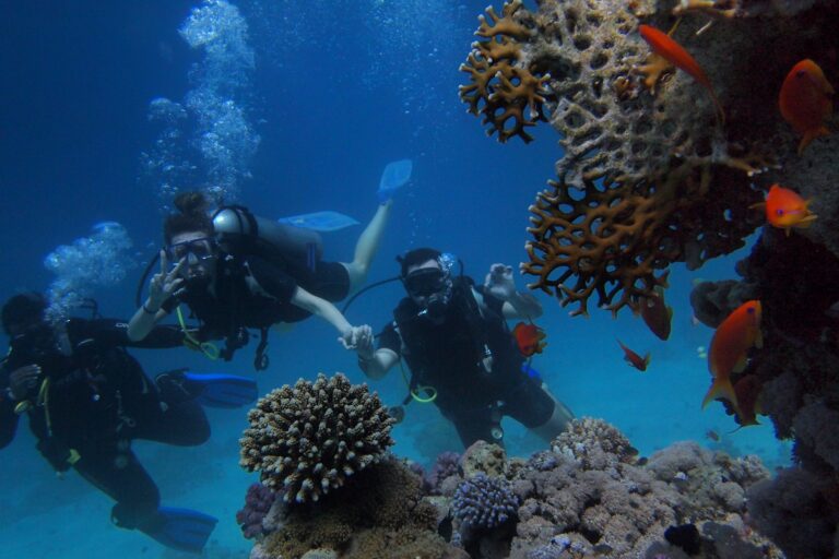 I 10 luoghi più suggestivi nel mar rosso