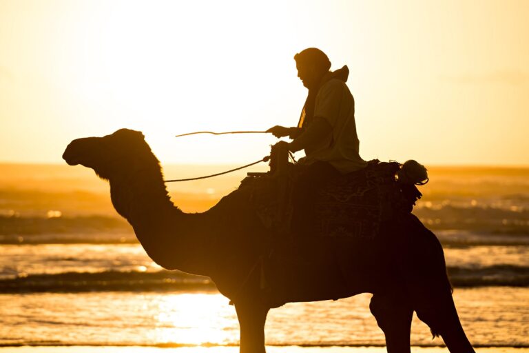 Le 10 migliori attrazioni turistiche da visitare in Marocco