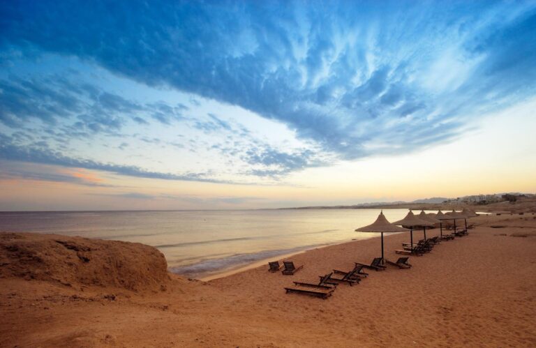 image 81563a59 91d2 4abb 95aa 5f696373f4e2