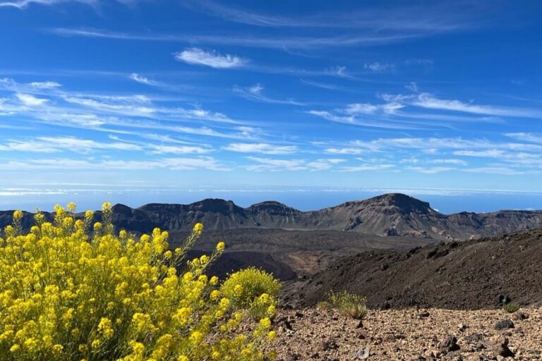 image 0fd5891c 2655 4bf5 b529 34dfc3e655c5