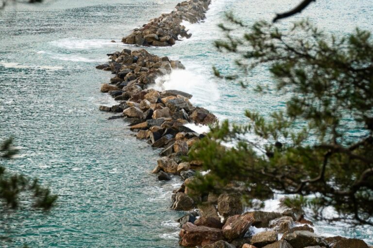 Litorale ligure