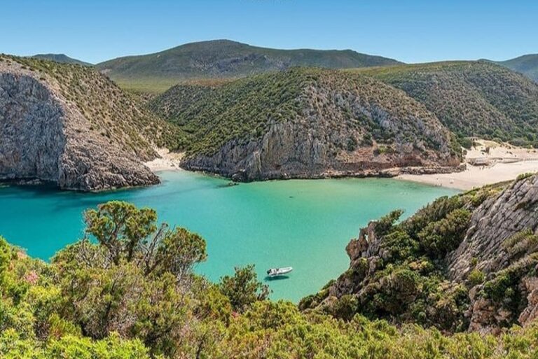 image 5b31cb48 2ebd 4ed8 bb09 df8e4ab9fc56