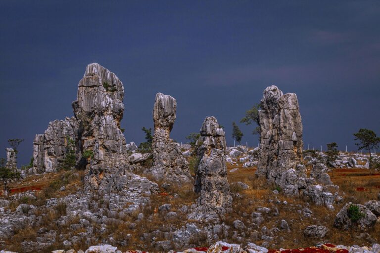 stone forest 6625536 1280