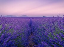 Mete e destinazioni estive sottovalutate in Europa