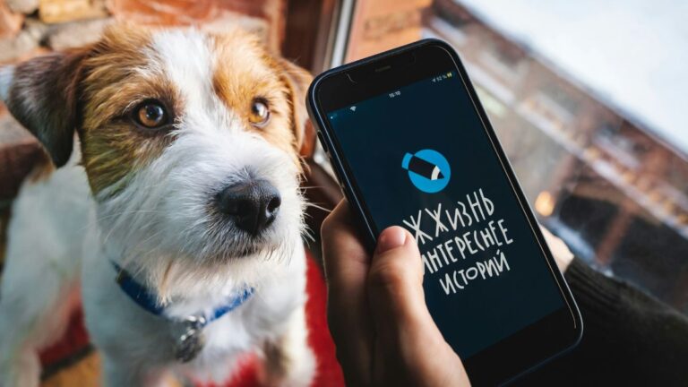 Come e dove farlo? Parliamo del passaporto per cane e gatto