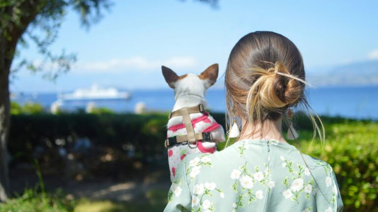 Viaggiare con un cane in nave, ecco come e cosa fare