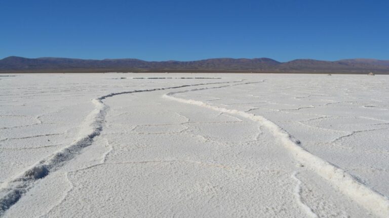 Saline Conti Vecchi, la scoperta