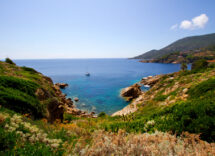 10 31616 isola del giglio